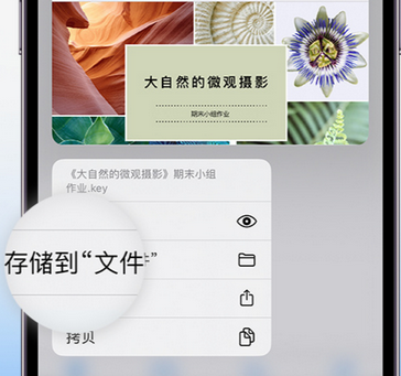 尖扎apple维修中心分享iPhone文件应用中存储和找到下载文件