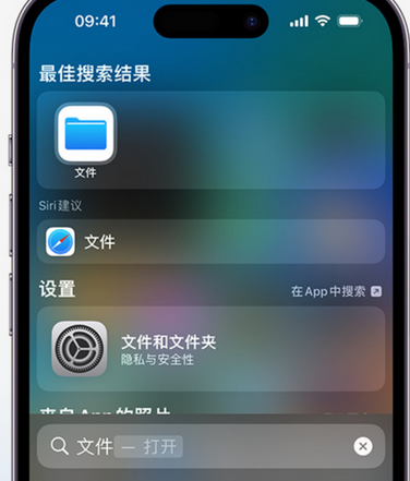 尖扎apple维修中心分享iPhone文件应用中存储和找到下载文件 