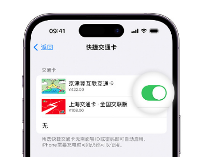 尖扎apple维修点分享iPhone上更换Apple Pay快捷交通卡手绘卡面 