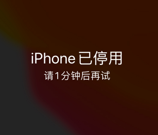 尖扎苹果手机维修分享:iPhone 显示“不可用”或“已停用”怎么办？还能保留数据吗？ 