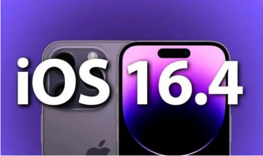 尖扎苹果14维修分享：iPhone14可以升级iOS16.4beta2吗？ 