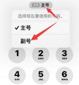 尖扎苹果14维修店分享iPhone 14 Pro Max使用副卡打电话的方法 