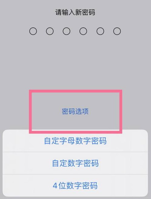 尖扎苹果14维修分享iPhone 14plus设置密码的方法 