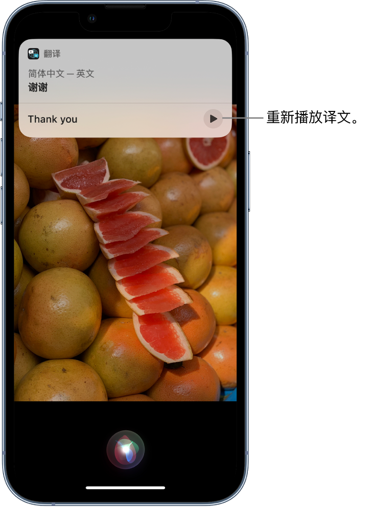 尖扎苹果14维修分享 iPhone 14 机型中使用 Siri：了解 Siri 能帮你做什么 