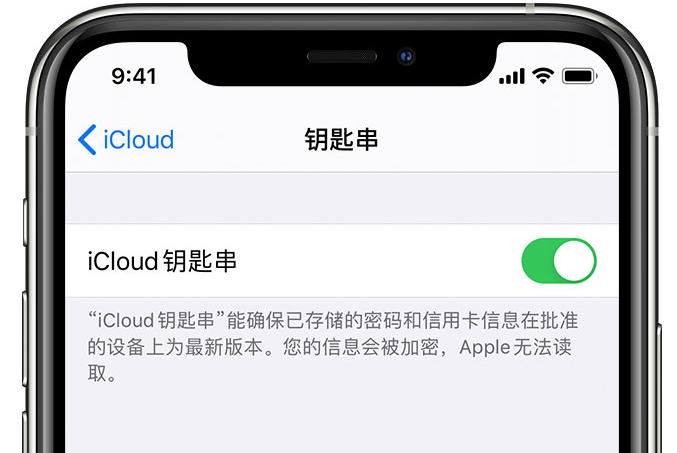 尖扎苹果手机维修分享在 iPhone 上开启 iCloud 钥匙串之后会储存哪些信息 