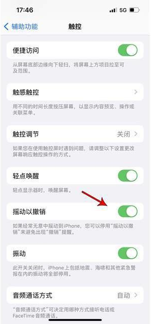 尖扎苹果手机维修分享iPhone手机如何设置摇一摇删除文字 